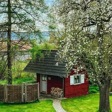 Elke's Cozy Tinyhouse Im Grünen